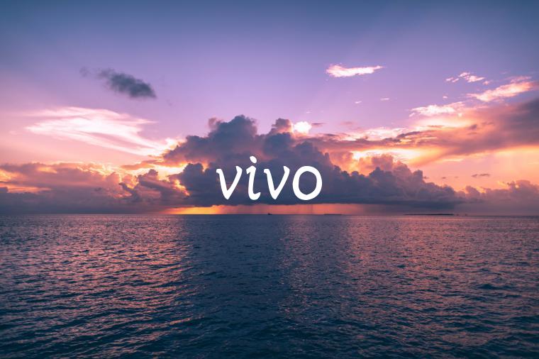 vivo