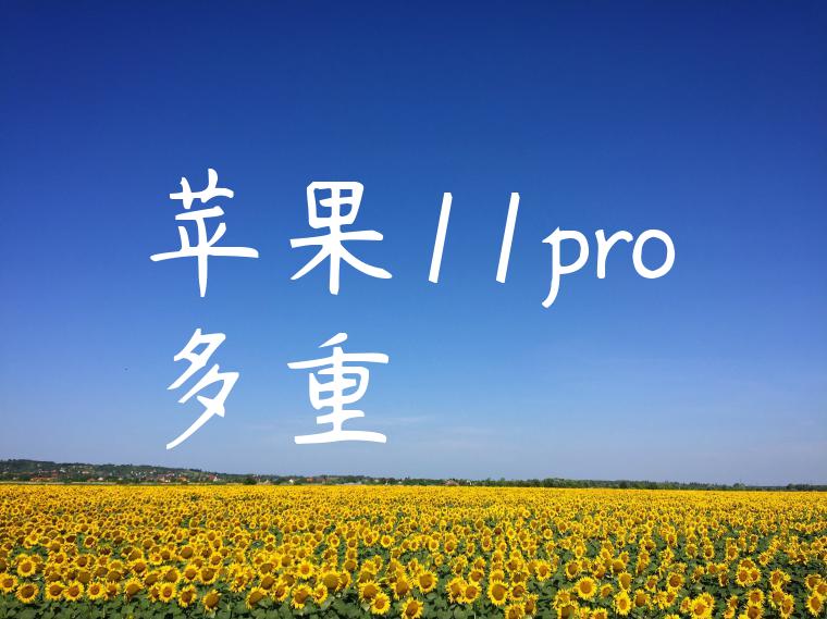 苹果11pro多重