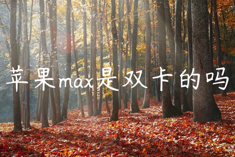 苹果max是双卡的吗