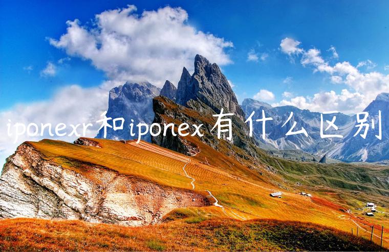 iponexr和iponex有什么区别