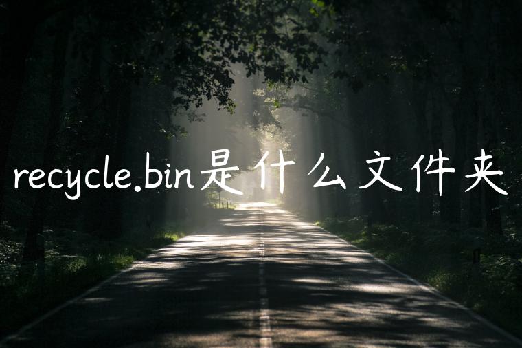 recycle.bin是什么文件夹