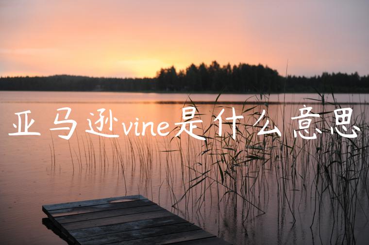 亚马逊vine是什么意思