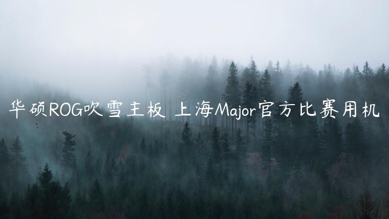 华硕ROG吹雪主板 上海Major官方比赛用机