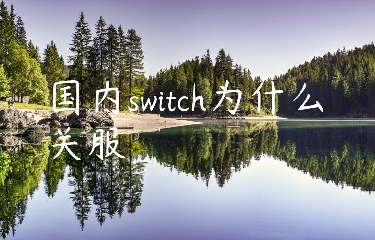 国内switch为什么关服