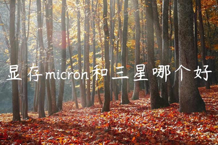 显存micron和三星哪个好