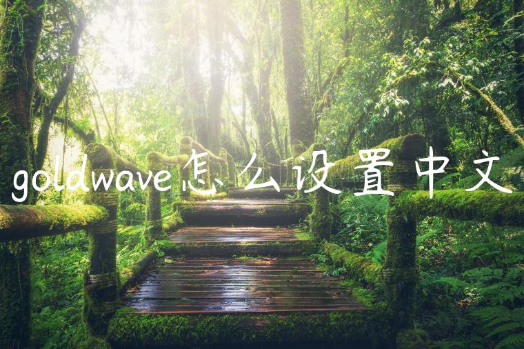 goldwave怎么设置中文