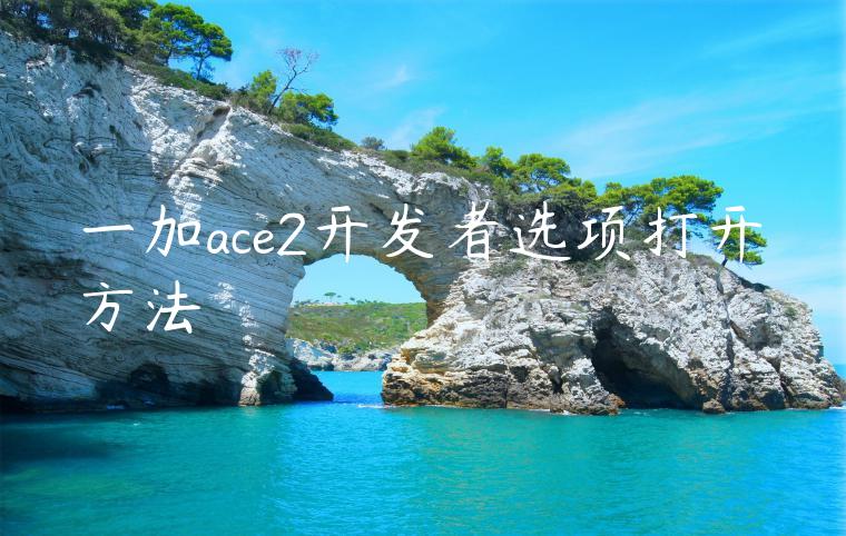 一加ace2开发者选项打开方法