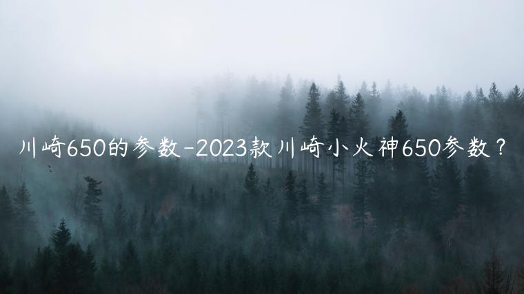 川崎650的参数-2023款川崎小火神650参数？