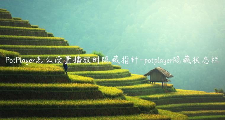 PotPlayer怎么设置播放时隐藏指针-potplayer隐藏状态栏