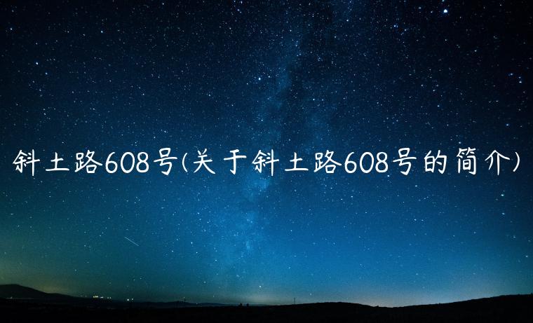 斜土路608号(关于斜土路608号的简介)