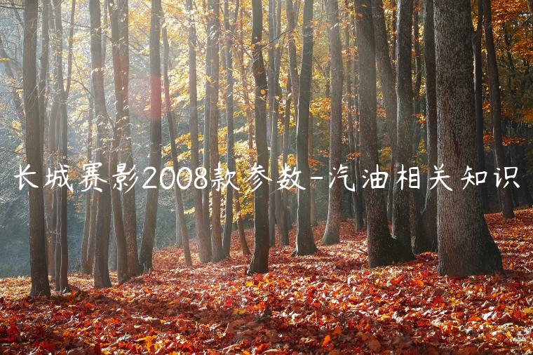 长城赛影2008款参数-汽油相关知识