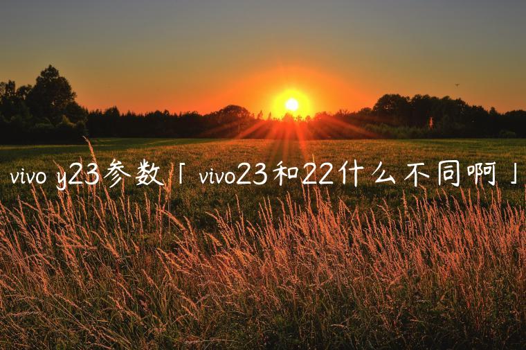 vivo y23参数「vivo23和22什么不同啊」