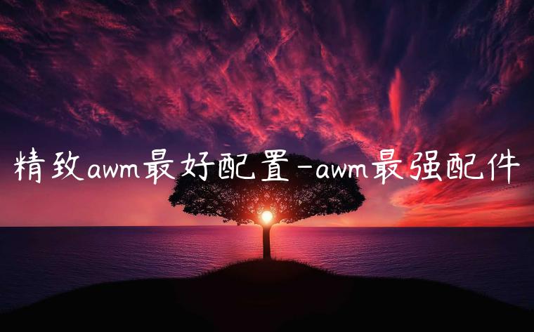 精致awm最好配置-awm最强配件