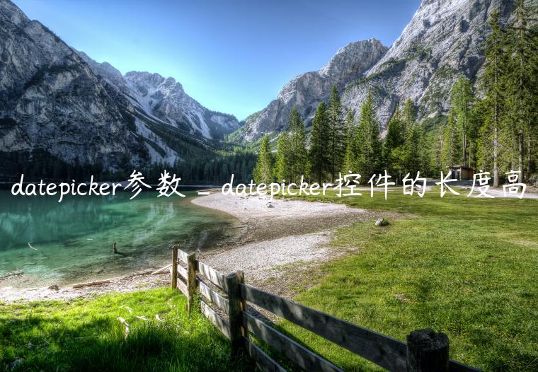 datepicker参数_datepicker控件的长度高