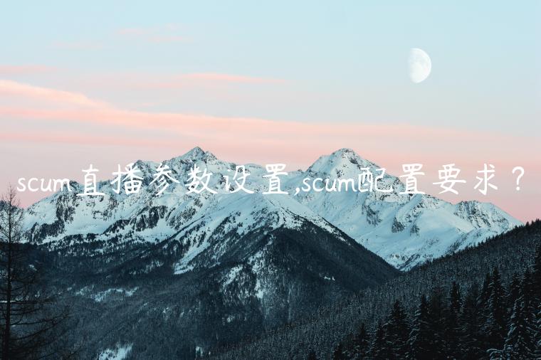 scum直播参数设置,scum配置要求？