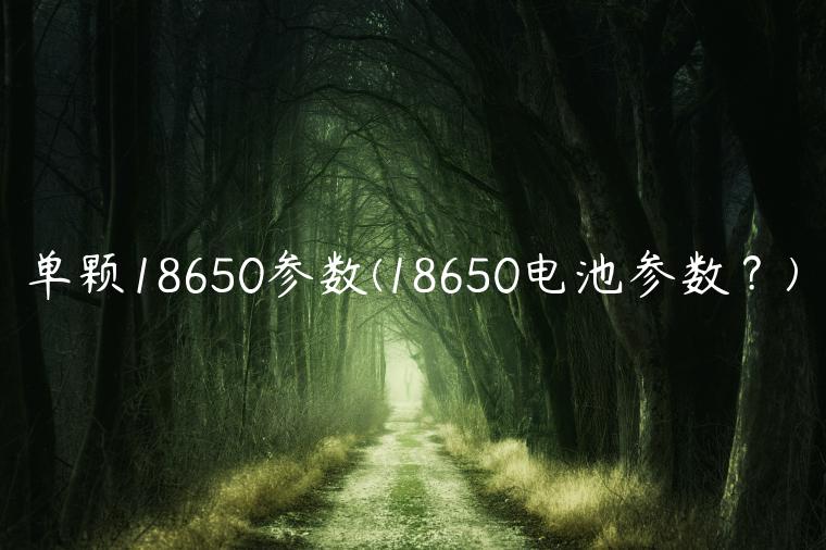 单颗18650参数(18650电池参数？)