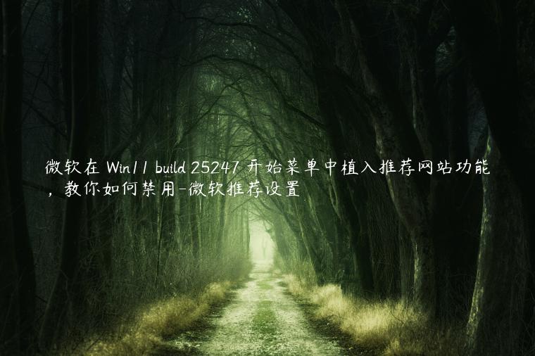 微软在 Win11 build 25247 开始菜单中植入推荐网站功能，教你如何禁用-微软推荐设置