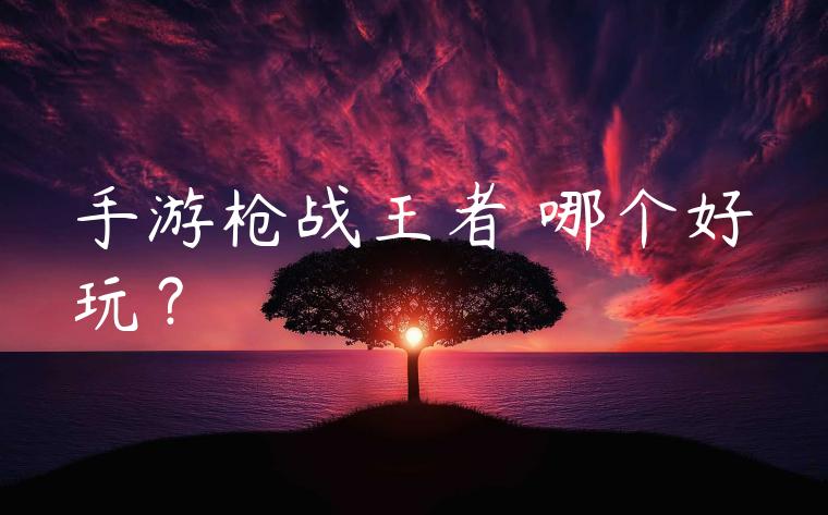 手游枪战王者 哪个好玩？