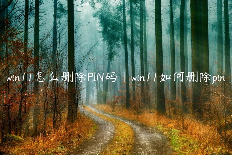 win11怎么删除PIN码|win11如何删除pin