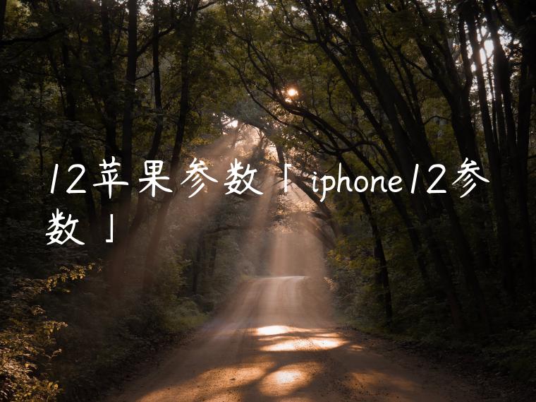 12苹果参数「iphone12参数」