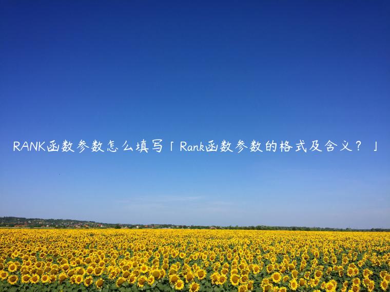 RANK函数参数怎么填写「Rank函数参数的格式及含义？」