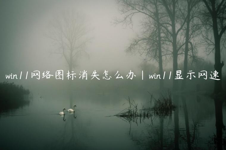 win11网络图标消失怎么办|win11显示网速