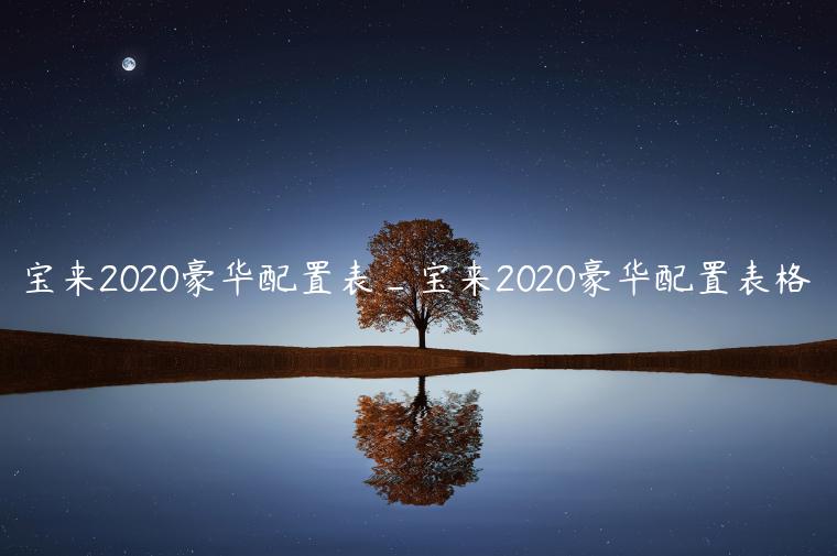 宝来2020豪华配置表_宝来2020豪华配置表格