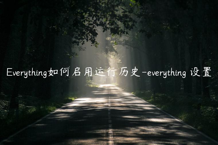 Everything如何启用运行历史-everything 设置