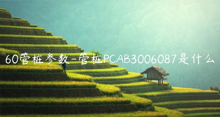 60管桩参数-管桩PCAB3006087是什么