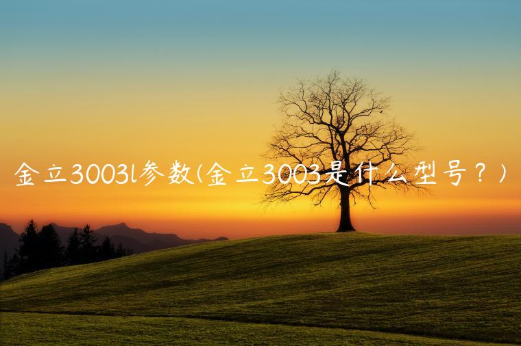 金立3003l参数(金立3003是什么型号？)