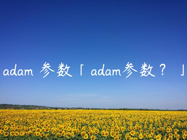 adam 参数「adam参数？」