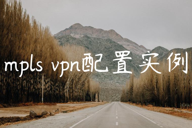 mpls vpn配置实例