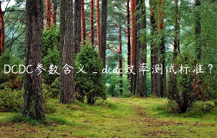 DCDC参数含义_dcdc效率测试标准？