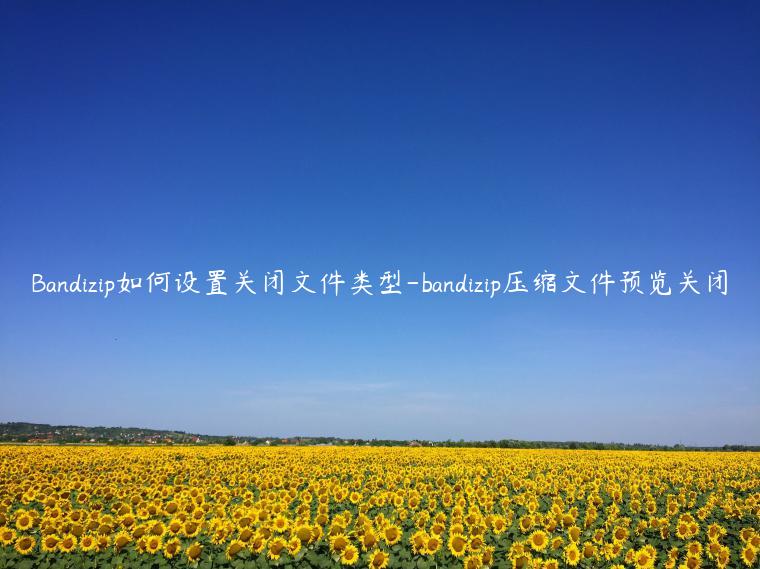 Bandizip如何设置关闭文件类型-bandizip压缩文件预览关闭