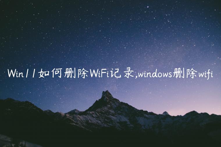 Win11如何删除WiFi记录,windows删除wifi