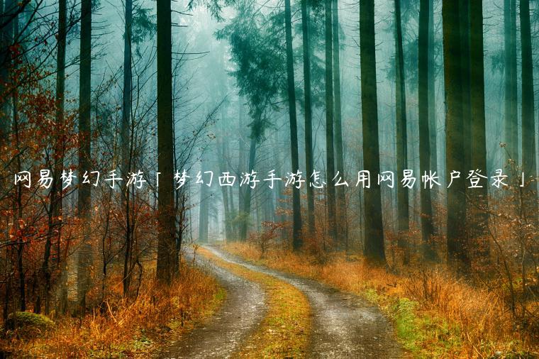 网易梦幻手游「梦幻西游手游怎么用网易帐户登录」