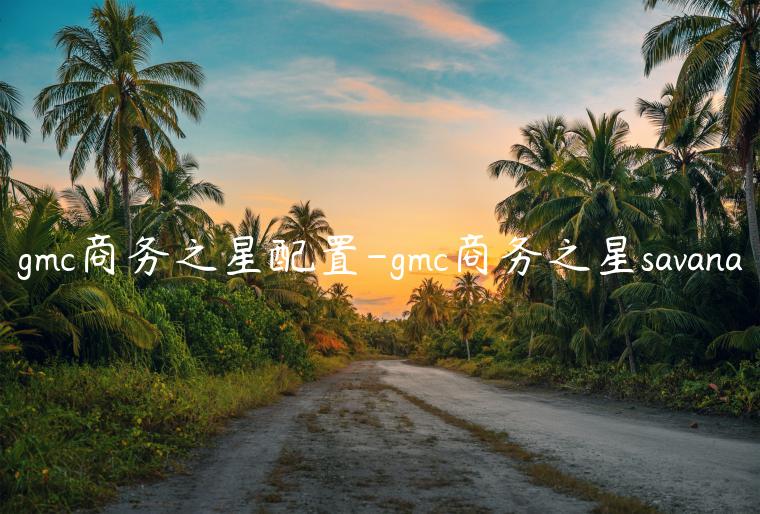 gmc商务之星配置-gmc商务之星savana