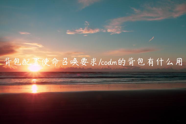 背包配置使命召唤要求/codm的背包有什么用