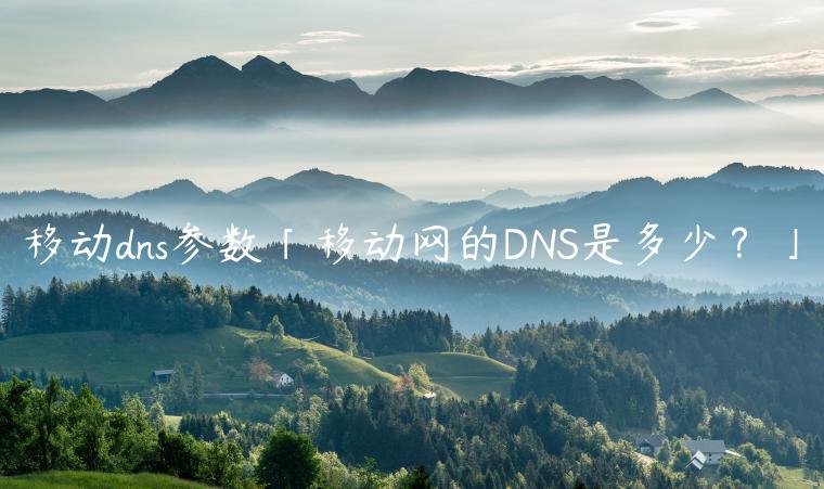 移动dns参数「移动网的DNS是多少？」