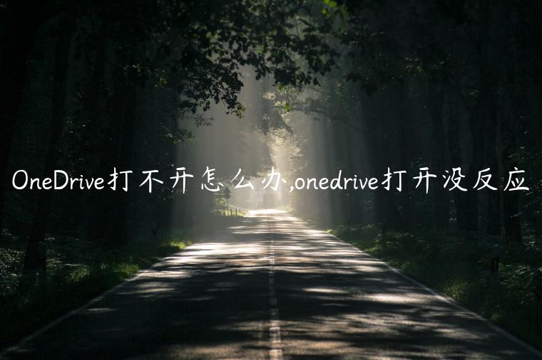 OneDrive打不开怎么办,onedrive打开没反应