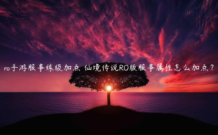 ro手游服事练级加点 仙境传说RO版服事属性怎么加点？