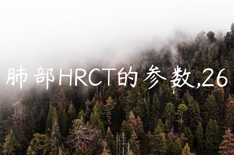 肺部HRCT的参数,26