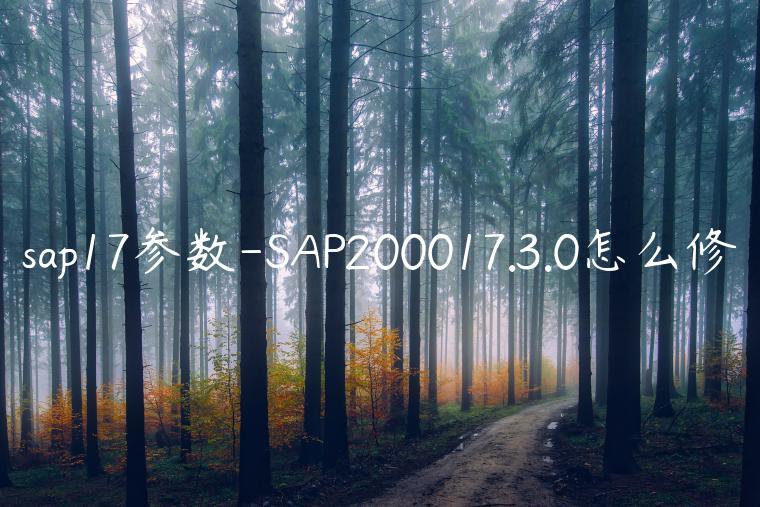 sap17参数-SAP200017.3.0怎么修