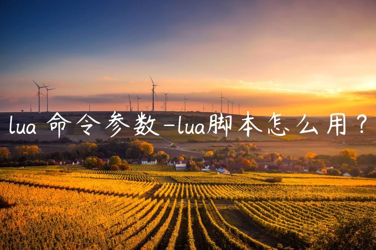 lua 命令参数-lua脚本怎么用？