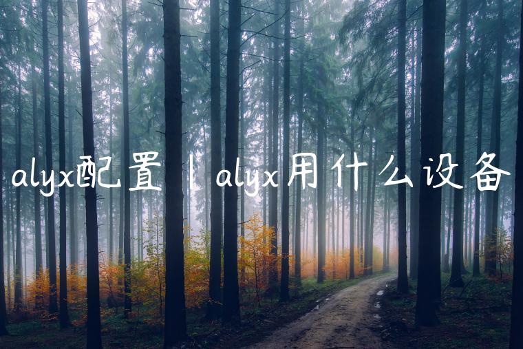 alyx配置|alyx用什么设备