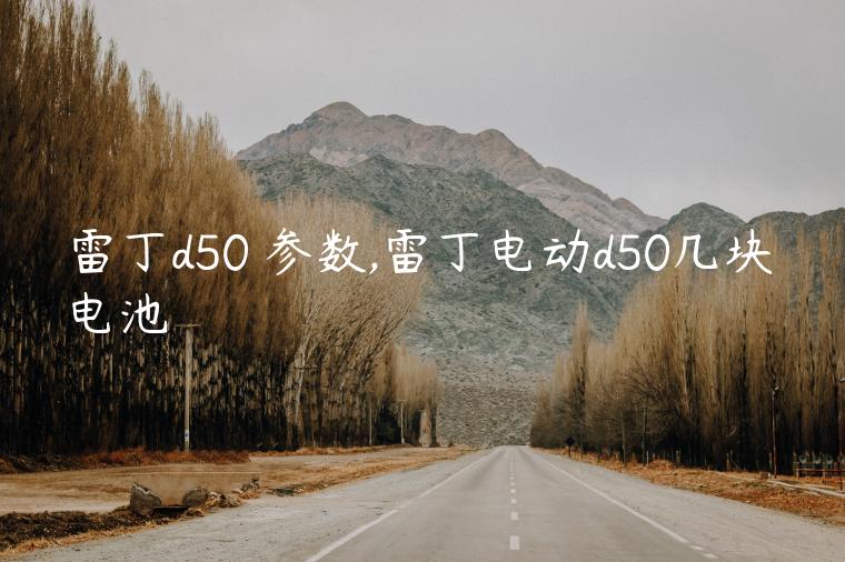 雷丁d50 参数,雷丁电动d50几块电池