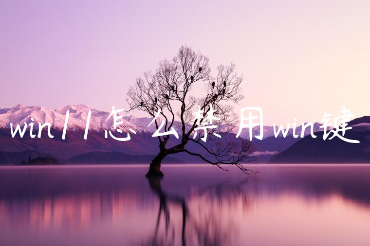 win11怎么禁用win键