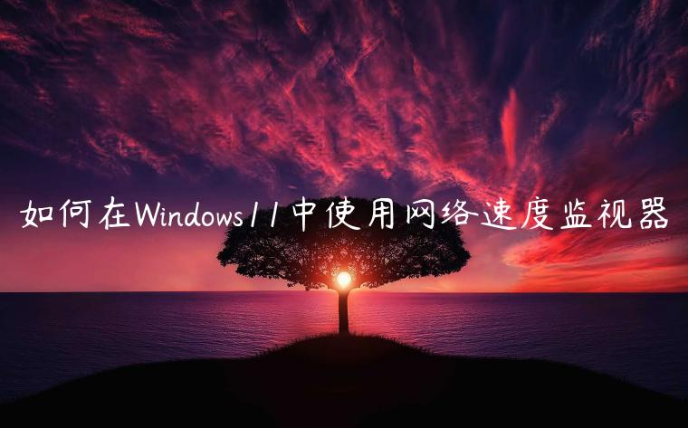 如何在Windows11中使用网络速度监视器