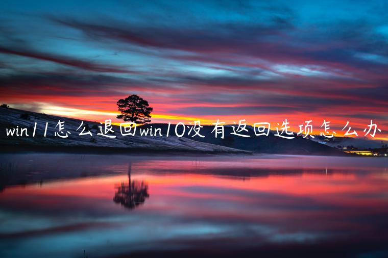 win11怎么退回win10没有返回选项怎么办