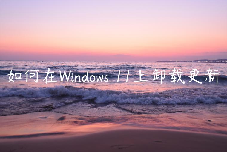 如何在Windows 11上卸载更新